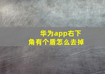 华为app右下角有个盾怎么去掉