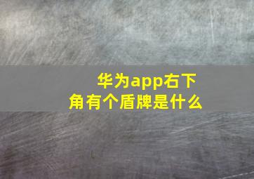 华为app右下角有个盾牌是什么