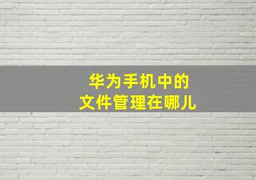 华为手机中的文件管理在哪儿