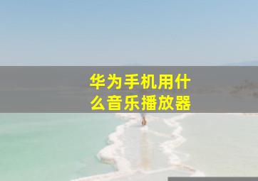 华为手机用什么音乐播放器