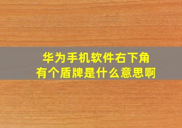 华为手机软件右下角有个盾牌是什么意思啊