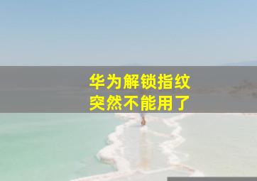 华为解锁指纹突然不能用了