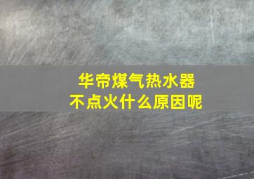 华帝煤气热水器不点火什么原因呢