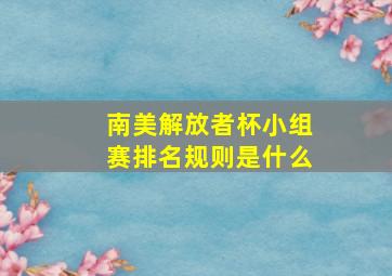 南美解放者杯小组赛排名规则是什么