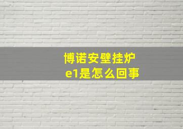 博诺安壁挂炉e1是怎么回事