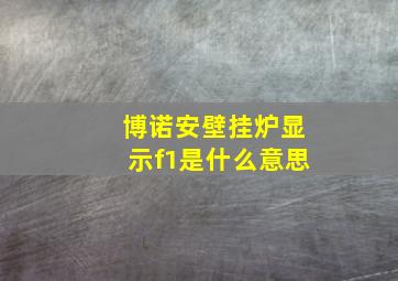 博诺安壁挂炉显示f1是什么意思