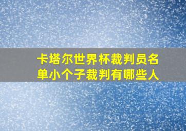 卡塔尔世界杯裁判员名单小个子裁判有哪些人