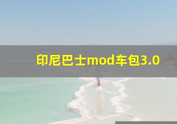 印尼巴士mod车包3.0