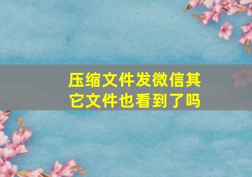 压缩文件发微信其它文件也看到了吗