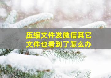 压缩文件发微信其它文件也看到了怎么办