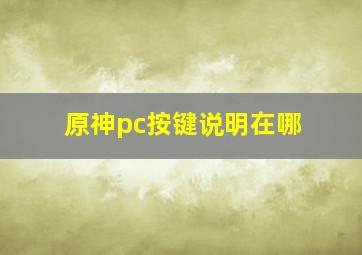 原神pc按键说明在哪