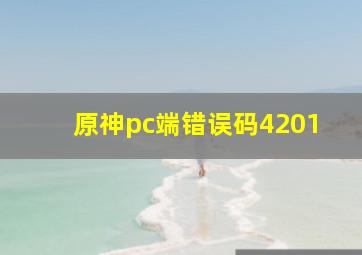 原神pc端错误码4201