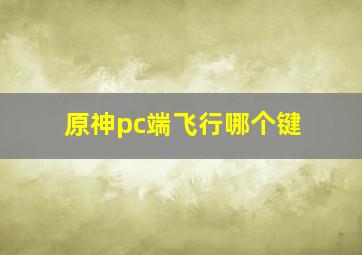 原神pc端飞行哪个键