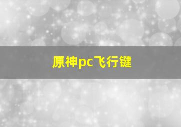 原神pc飞行键