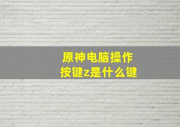 原神电脑操作按键z是什么键