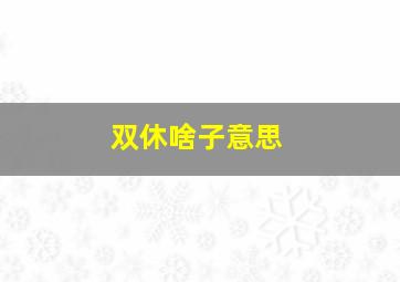 双休啥子意思