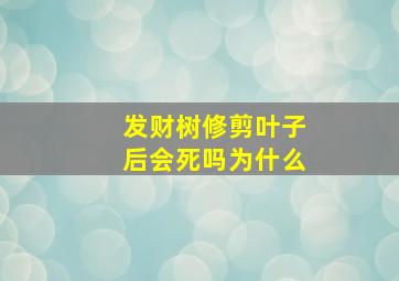 发财树修剪叶子后会死吗为什么