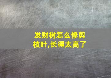 发财树怎么修剪枝叶,长得太高了