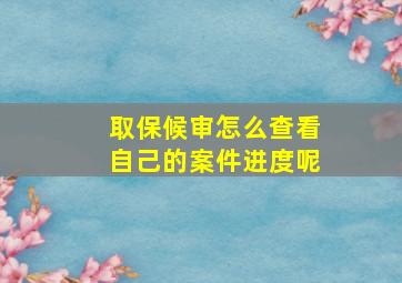 取保候审怎么查看自己的案件进度呢