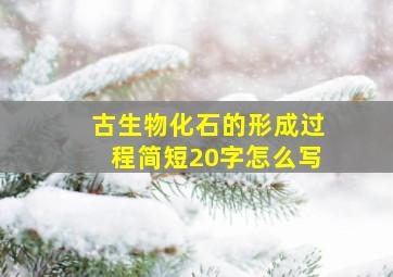 古生物化石的形成过程简短20字怎么写