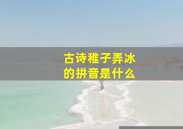 古诗稚子弄冰的拼音是什么