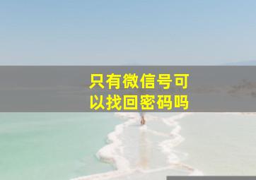 只有微信号可以找回密码吗