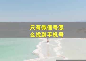 只有微信号怎么找到手机号