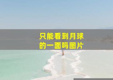 只能看到月球的一面吗图片