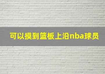 可以摸到篮板上沿nba球员