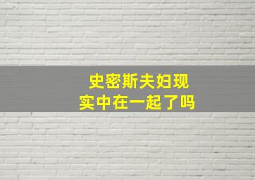 史密斯夫妇现实中在一起了吗