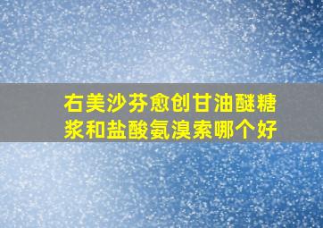 右美沙芬愈创甘油醚糖浆和盐酸氨溴索哪个好