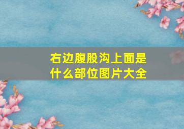 右边腹股沟上面是什么部位图片大全