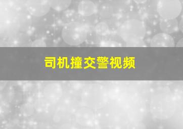 司机撞交警视频