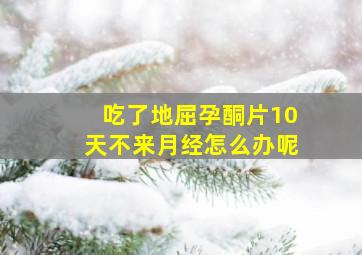 吃了地屈孕酮片10天不来月经怎么办呢