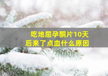 吃地屈孕酮片10天后来了点血什么原因