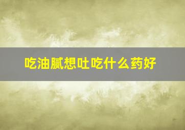 吃油腻想吐吃什么药好