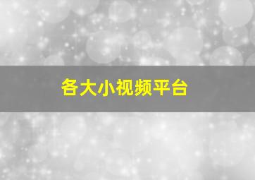 各大小视频平台