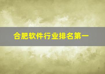 合肥软件行业排名第一