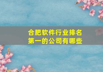 合肥软件行业排名第一的公司有哪些