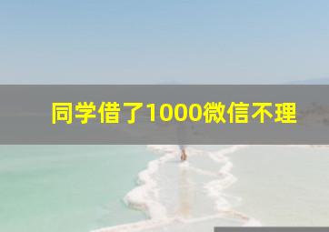 同学借了1000微信不理