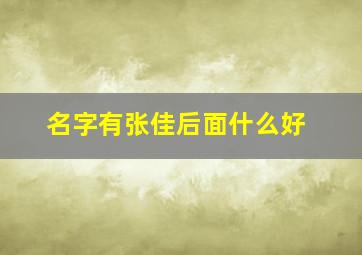 名字有张佳后面什么好