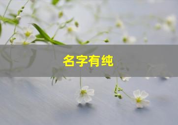 名字有纯