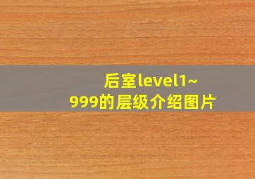 后室level1~999的层级介绍图片