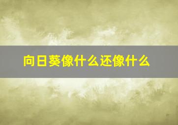 向日葵像什么还像什么