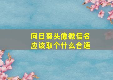 向日葵头像微信名应该取个什么合适