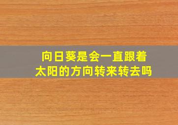 向日葵是会一直跟着太阳的方向转来转去吗