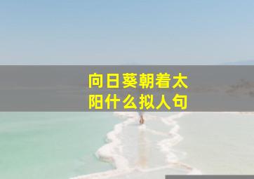 向日葵朝着太阳什么拟人句