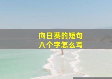 向日葵的短句八个字怎么写