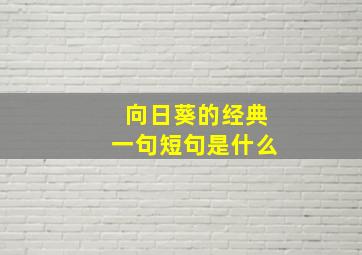 向日葵的经典一句短句是什么