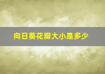 向日葵花瓣大小是多少